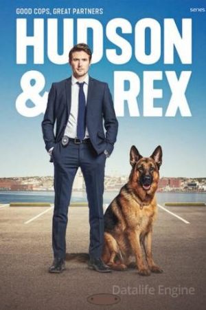 Hudson & Rex streaming ita