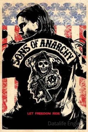 Sons of Anarchy streaming ita