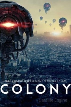 Colony