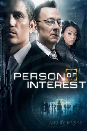 Person of Interest streaming ita