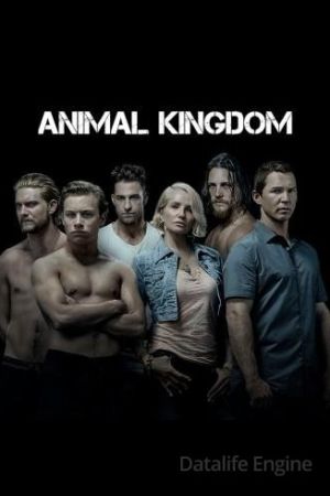 Animal Kingdom streaming ita