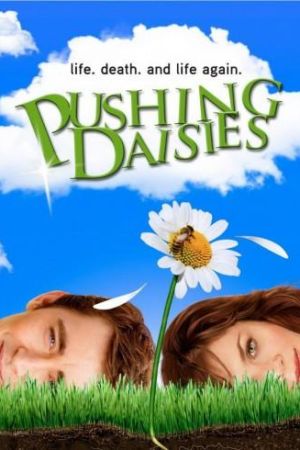 Pushing Daisies streaming ita