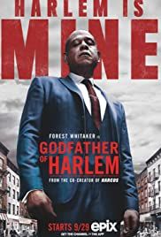 Godfather of Harlem streaming ita