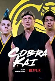 Cobra Kai streaming ita