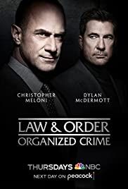 Law & Order: Organized Crime streaming ita