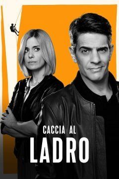 Caccia al Ladro streaming ita