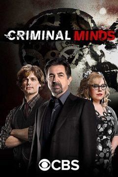 Criminal Minds streaming ita