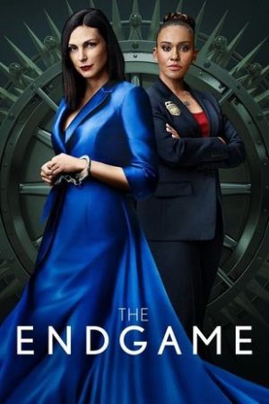 The Endgame (2022) streaming ita