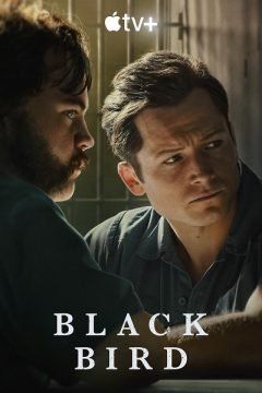 Black Bird (2022) streaming ita