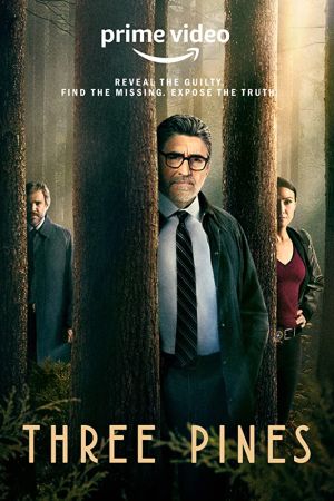 Il Commissario Gamache - Misteri a Three Pines streaming ita