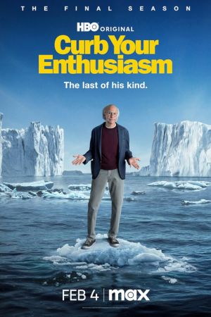 Curb Your Enthusiasm streaming ita